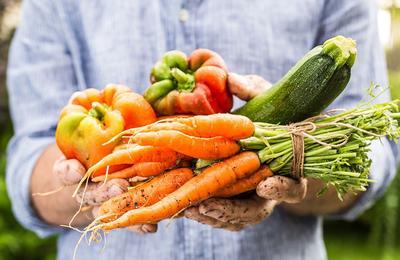 Mission potager  Mont saint Aignan