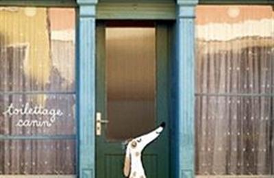 Monologue d'un chien bien coiff  Clamart