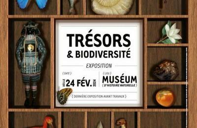 Exposition Trsors & biodiversit  Nantes