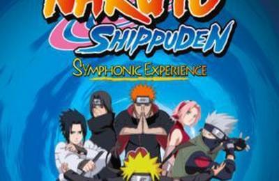 Naruto Shippuden Symphonic Experience  Toulouse