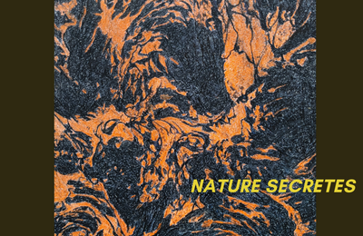 Nature Secrte, Exposition de Pierre Vallauri  Jouques