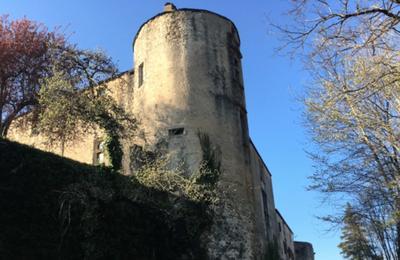 Rveries au Chteau visites accompagnes  Fontrieu