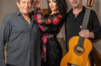 Noche De Arte Flamenco  Le Thor