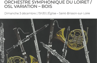 Orchestre Symphonique Du Loiret, OSL variation Bois à Saint Brisson sur Loire