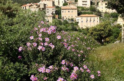 Parcours dans le village Da una casa all'altra, sur le chemin de l'histoire  Lama