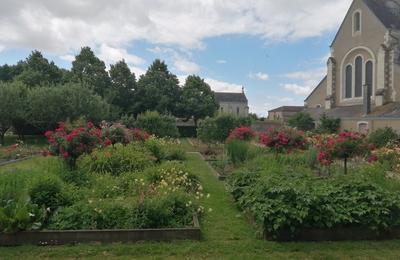 Parcours pdestre et photographique  Chemill-en-Anjou