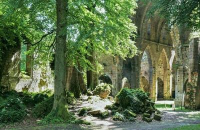 Participez  un jeu de piste Les mystres d'une abbaye cistercienne  Trois Fontaines l'Abbaye