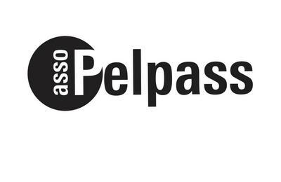 Pelpass Festival 2024