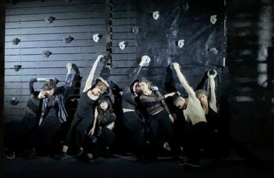 Performances de danse verticale : MurMur, par la compagnie In-SENSO  Chambord