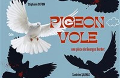 Pigeon vole  Vence