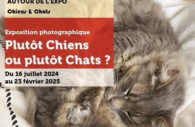 Plutt chien ou plutt chat  Marseille