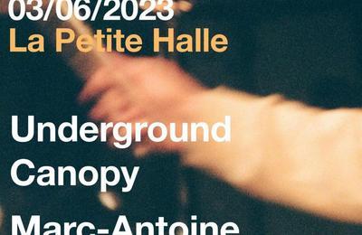 Pop Up Menace avec Marc Antoine Perrio et Underground Canopy  Paris 19me