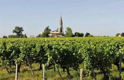 Portes ouvertes  Lalande de Pomerol