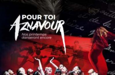 Pour Toi Aznavour  Marseille