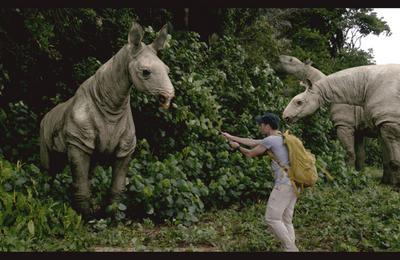 Projection documentaires La terre des gants  Toulouse