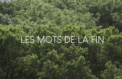 Projection : Les mots de la fin  Rennes