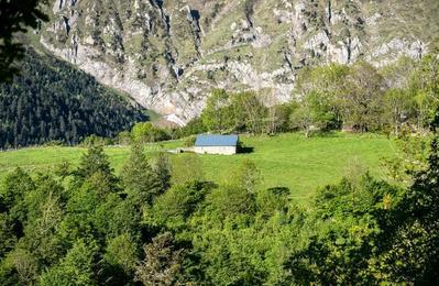 Randonne culturelle autour du pastoralisme  Ancizan