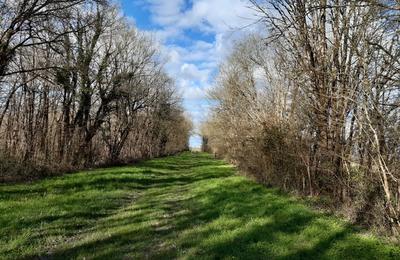 Randonne du patrimoine autour des bois de la Bastire  Annezay