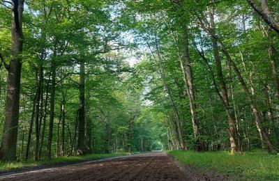 Randonne historique Layons, voies et chemins  Avilly saint Leonard