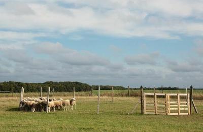 Randonne pdestre autour de Vayres sur Essonne