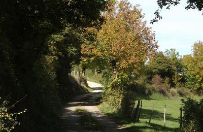 Randonne sur la Trace de la Transhumance, de Vars  Lenne  Svrac d'Aveyron