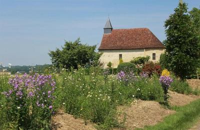 Randonne sur le chemin des 3 chapelles !  Arthez de Bearn