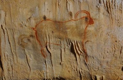 Visite d'une grotte minrale orne de dessins prhistoriques  Payrignac