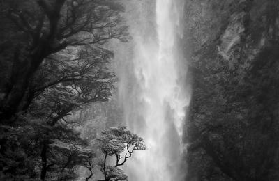 Rencontre Sur Le Thme Les Enjeux De La Photographie Amricaine Par Jean Kempf, Professeur mrite  L'universit Lyon2  Nice