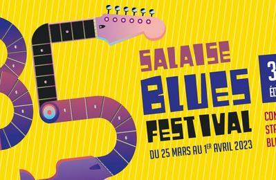 Salaise Blues Festival 2024