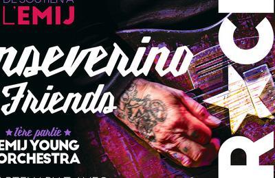 Sanseverino et Friends Concert de Soutien a l'EMIJ  Cleon