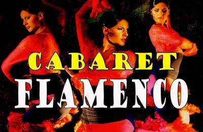 Show flamenco lyon