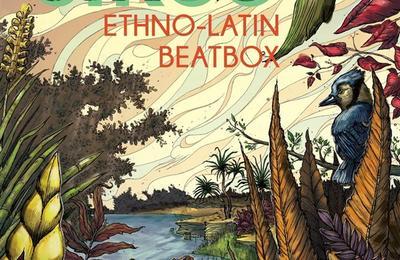 Sirco Ethno Latin Beatbox  Lyon