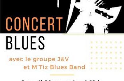 Soire Blues : Concert de J et V et du M'Tiz Blues Band  Albigny sur Saone