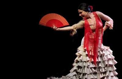 Spectacle de Flamenco par la Compagnie ZAMBRA  Sivry Courtry