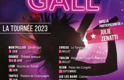 Spectacul'Art chante France Gall  Evreux