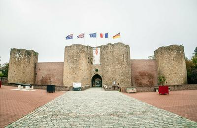 Speed dating historique : Charles le Tmraire, un homme convaincu  Peronne