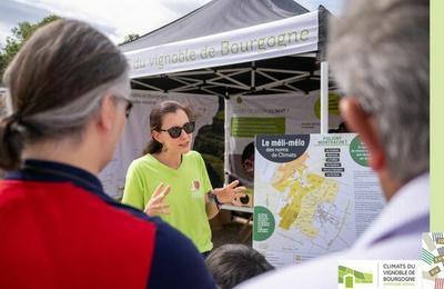 Stand interactif et animations pour dcouvrir les Climats  la cuverie du muse du Vin  Beaune