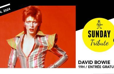 Sunday Tribute, David Bowie  Paris 12me