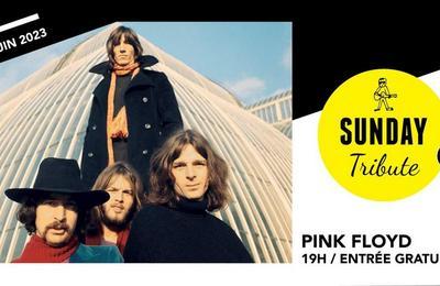 Sunday Tribute, Pink Floyd à Paris 12ème