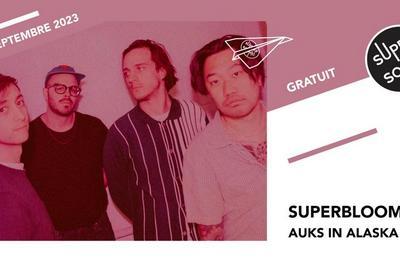Superbloom, Auks In Alaska  Paris 12me