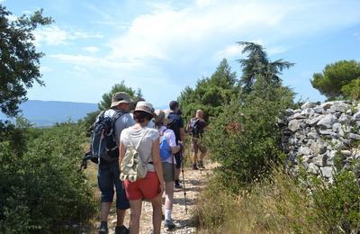 Sur les traces du Mur de la Peste  Cabrieres d'Avignon