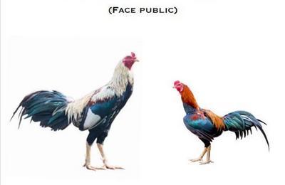 Ta rage n'aura pas de fin, face public  Nantes