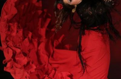 Tablao flamenco traditionnel andalou 2  Lyon