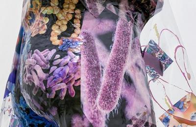 Tentacle Togetherness  Pontault Combault