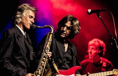 The Dire Straits Experience  Montbeliard