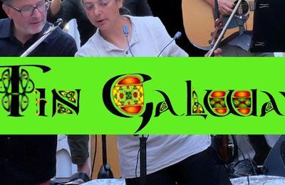 Tin Galway : Musique traditionnelle celtique  Arleuf