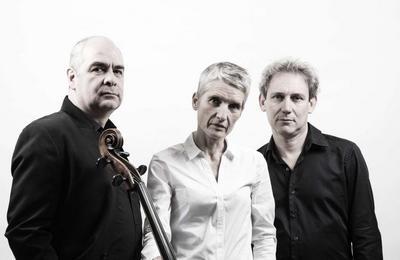 Trio David Grimal, Anne Gastinel, Philippe Cassard  Orlans