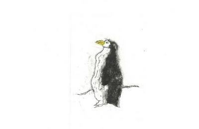 Un drle de pingouin  Villeurbanne