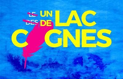Un lac de cygnes  Paris 18me