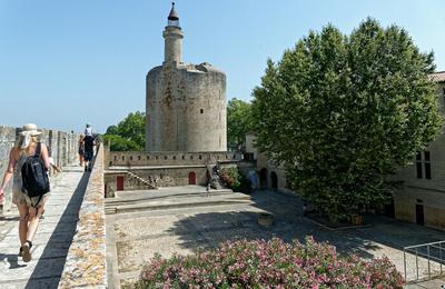 Un Voyage Dans L'architecture Mdivale : Le Donjon De St Louis, Les Tours De Dfense Et Les Portes Fortifies  Aigues Mortes